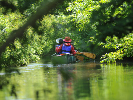 Bibi River Canoe