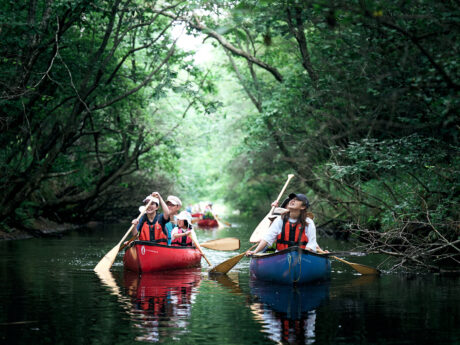 Bibi River Canoe