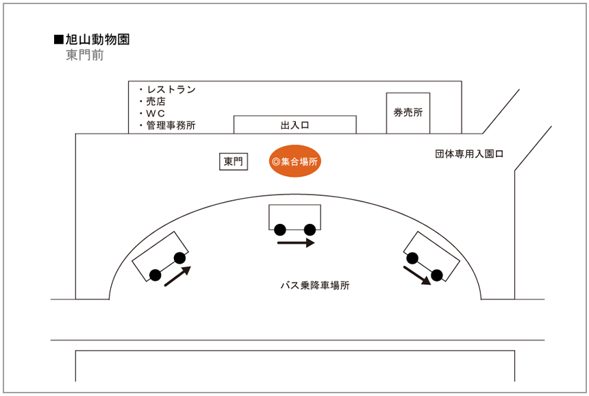旭山動物園バス集合場所